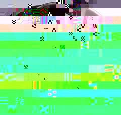 borbet.jpg